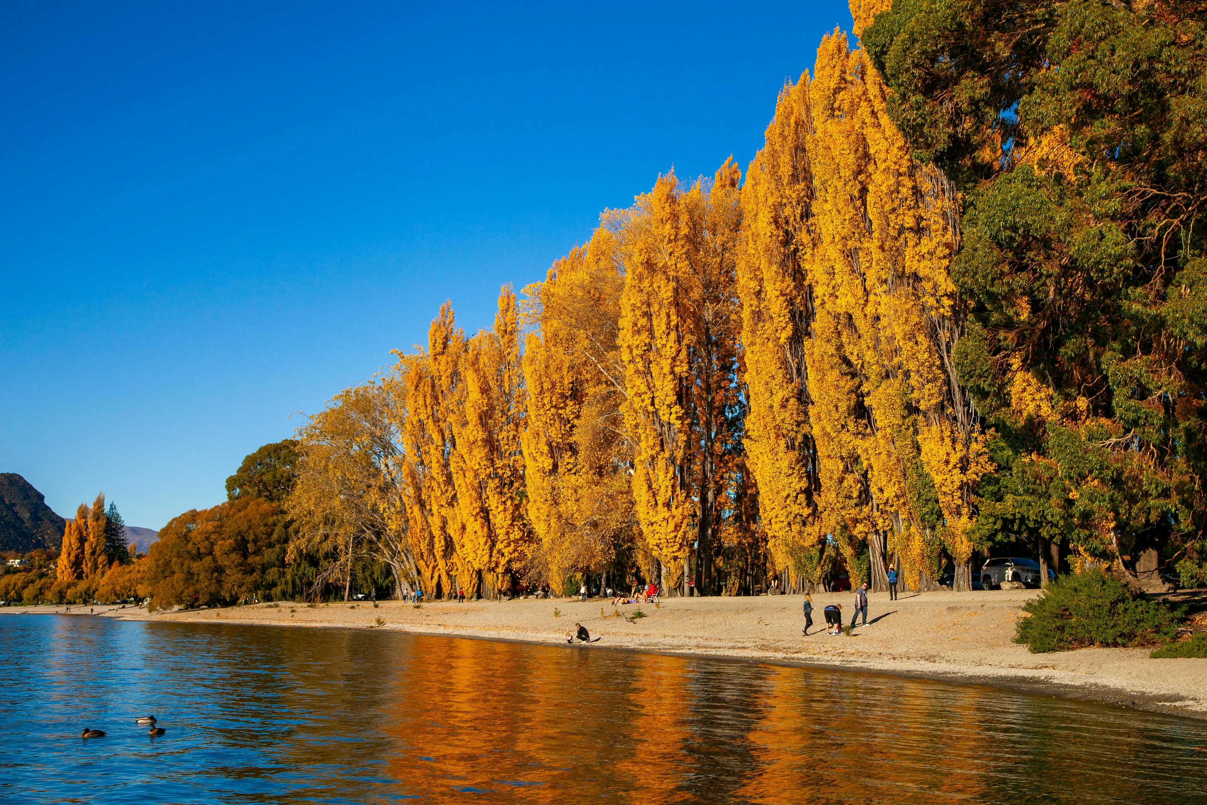 Things To Do In Queenstown This Autumn