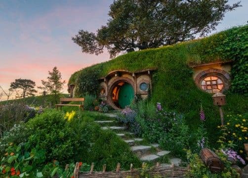 From Auckland to Middle-earth: Your Hobbiton Day Out