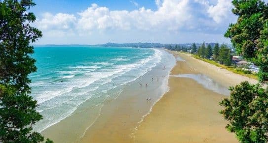 Auckland Summer Road Trips to Start the Holidays
